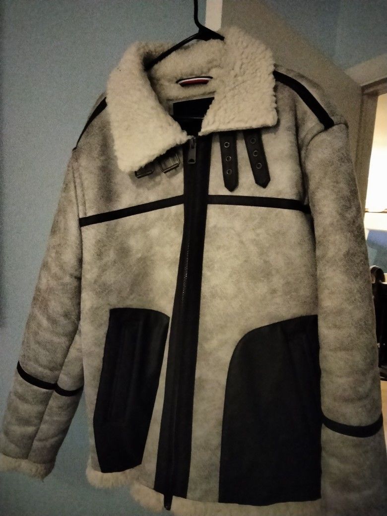 Tommy Hilfiger Coat (Wool)