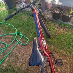 Giant Talon Mountain... Bike Disc Brakes...29 Inch...