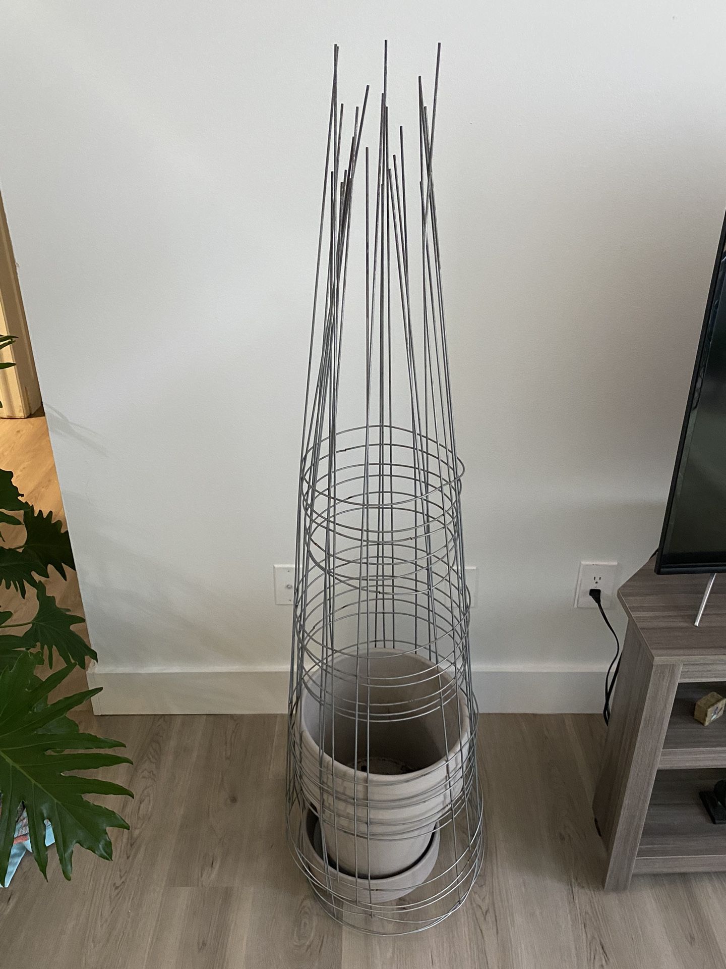 Plant Pots With Tomato Cage