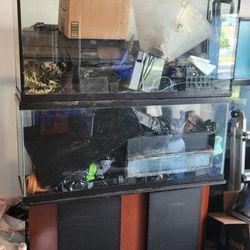 2 Seperate AQUARIUMS 1 Stand