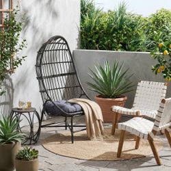 Hanging Egg Chair With Cushion