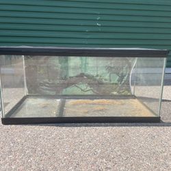 Aquarium Tank