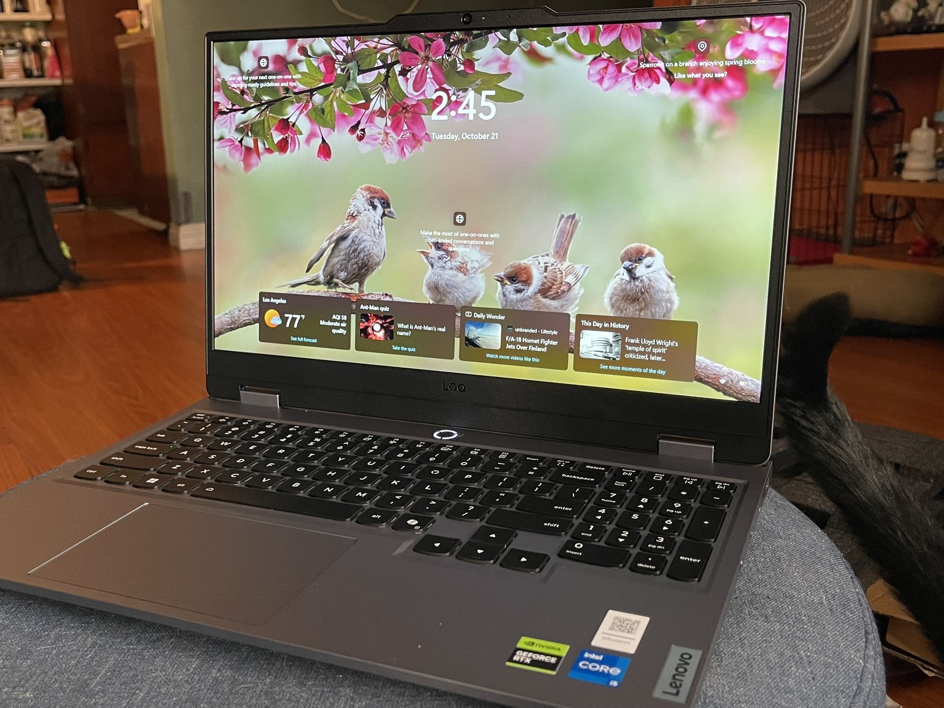 Lenovo LOQ15IRX10 Gaming Laptop 512 GB STORAGE 16GB RAM