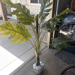 Faux Plant
