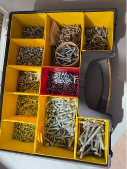 Case of screws