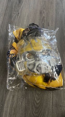 Bumblebee  coustume