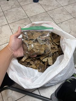 Almond Leaves for Betta , Guppies