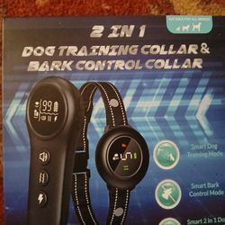 Dog Training Color