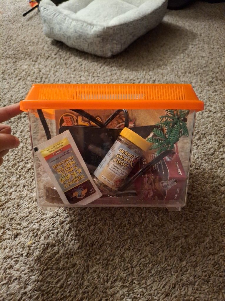 Starter Hermit Crab Cage