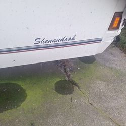 1989 shenandoah Coleman
