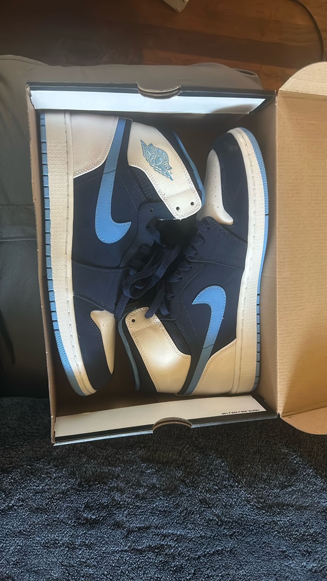 Air Jordan 1