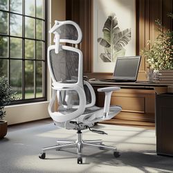 HBADA E2 Big & Tall Ergonomic Chair — Mesh, 6-Way Lumbar, 3D Arms (Open Box)