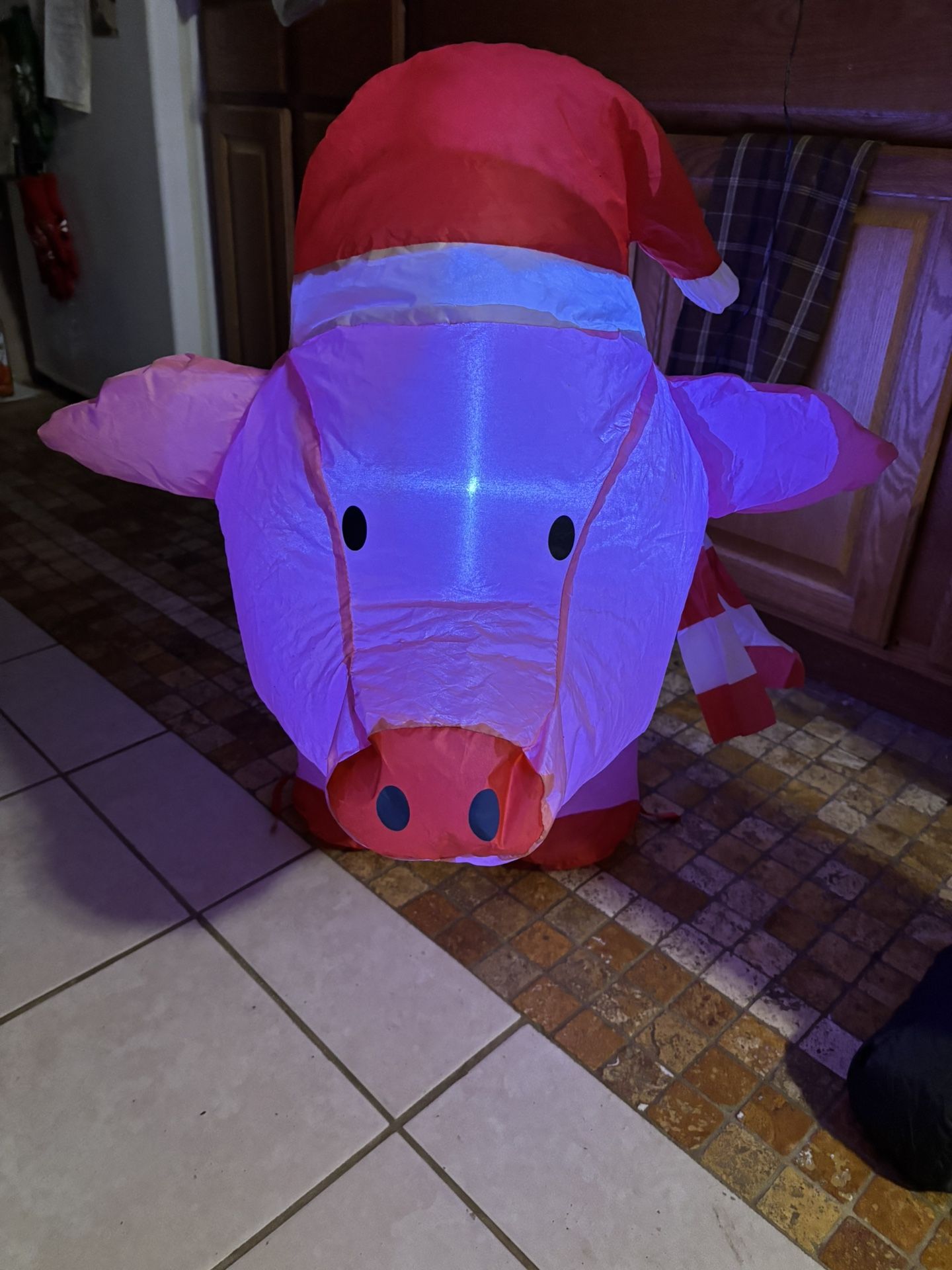 Inflatable Piggy