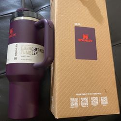 Stanley Quencher H2.0 Tumbler Cup