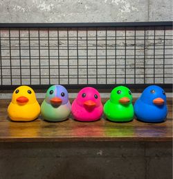 Sunny Days Ducks Squishy Toys