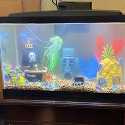 SpongeBob Themed 10 Gallon Aquarium $42 