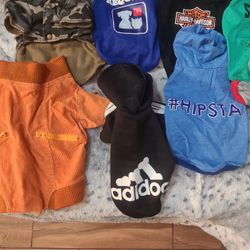 10 Size Small Dog Outfits. New