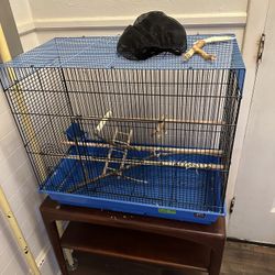 Bird Case