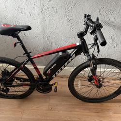 Electric bike
