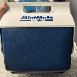Igloo MiniMate Vintage 90s Classic Cooler 