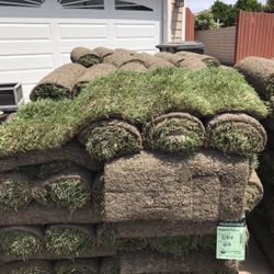 Sod/grass (fresh) 