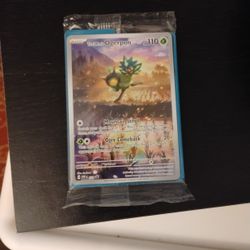 Teal Mask Ogerpon Promo Pokemon Card