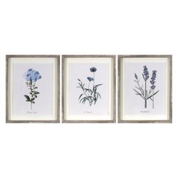 (Set of 3) 16"x20" Framed Vintage Botanicals Decorative Wall Art Natural/Blue - Threshold™