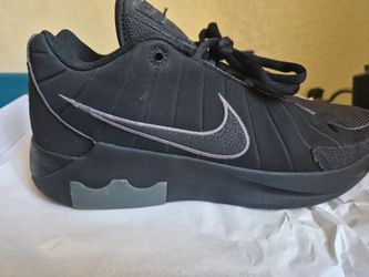 Lebron james shoes