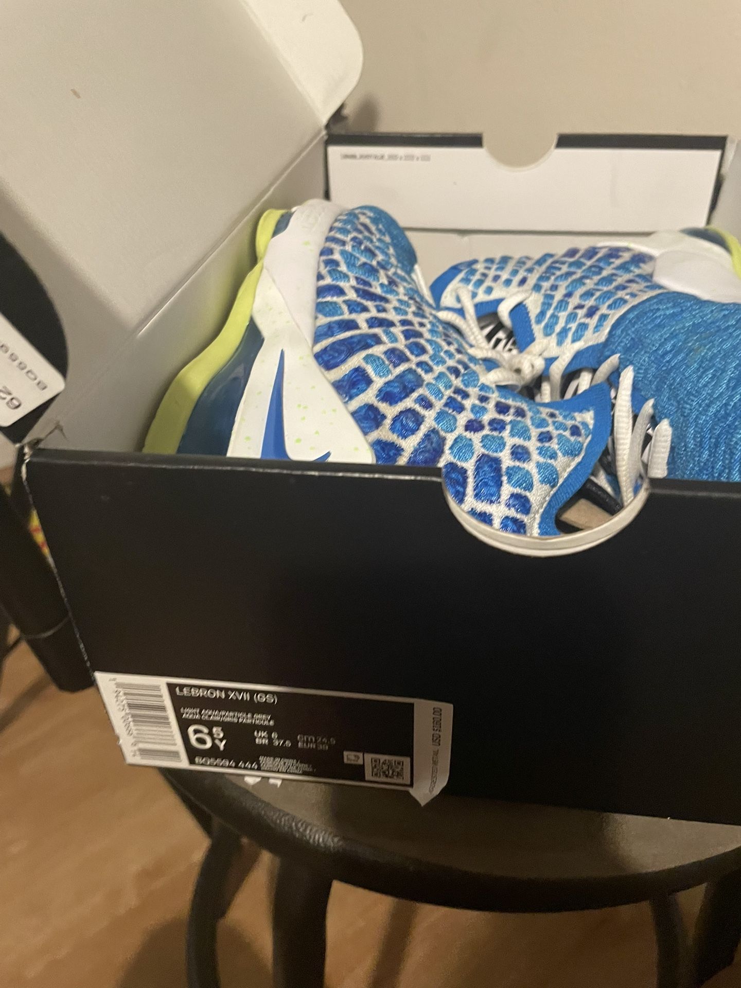 Lebron XVII (GS)