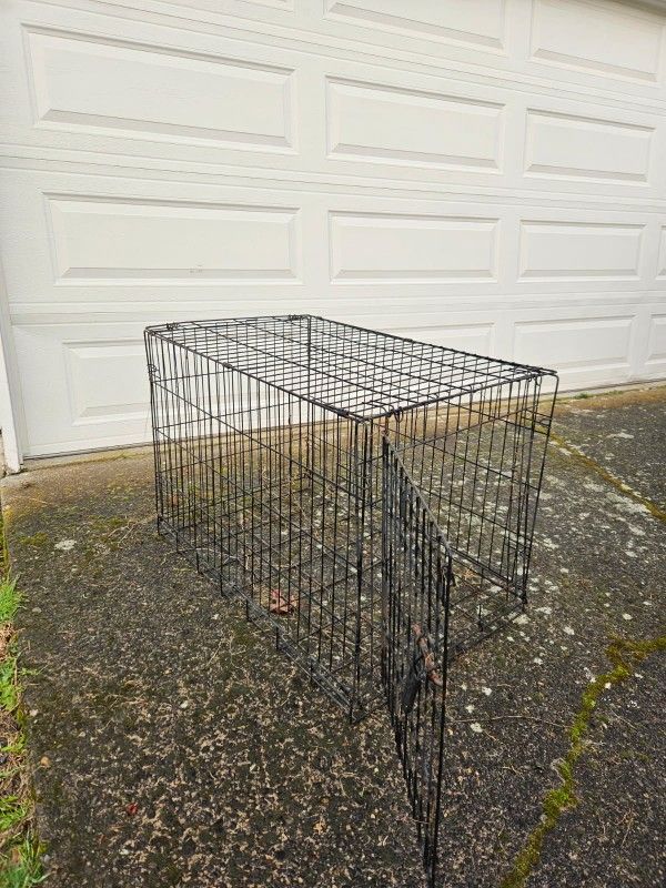 Dog Crate
