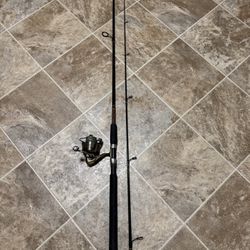 9’ Ugly Stik Fishing Rod and Shakespeare Wild Series Reel