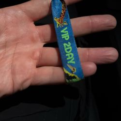 Daytrip Sunday VIP 