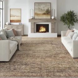 6x9 Washable Area Rug Rust Brown Vintage Neutral Distressed Oriental Large