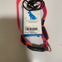 Medium LED rechargeable light up Collar 