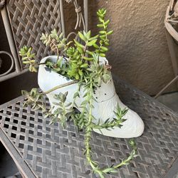 Ceramic shoe planter with succulent