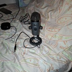 blue yeti mic