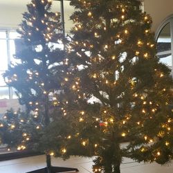 cristmas tree 6-6,5'