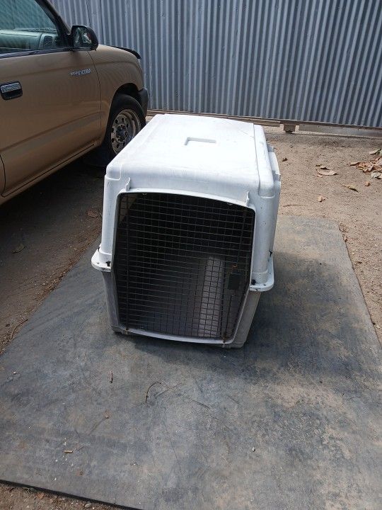 Dog Hose 40 X 26. X. 28