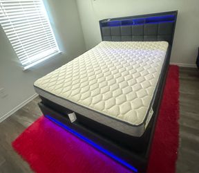 Twin Bed Toodlers