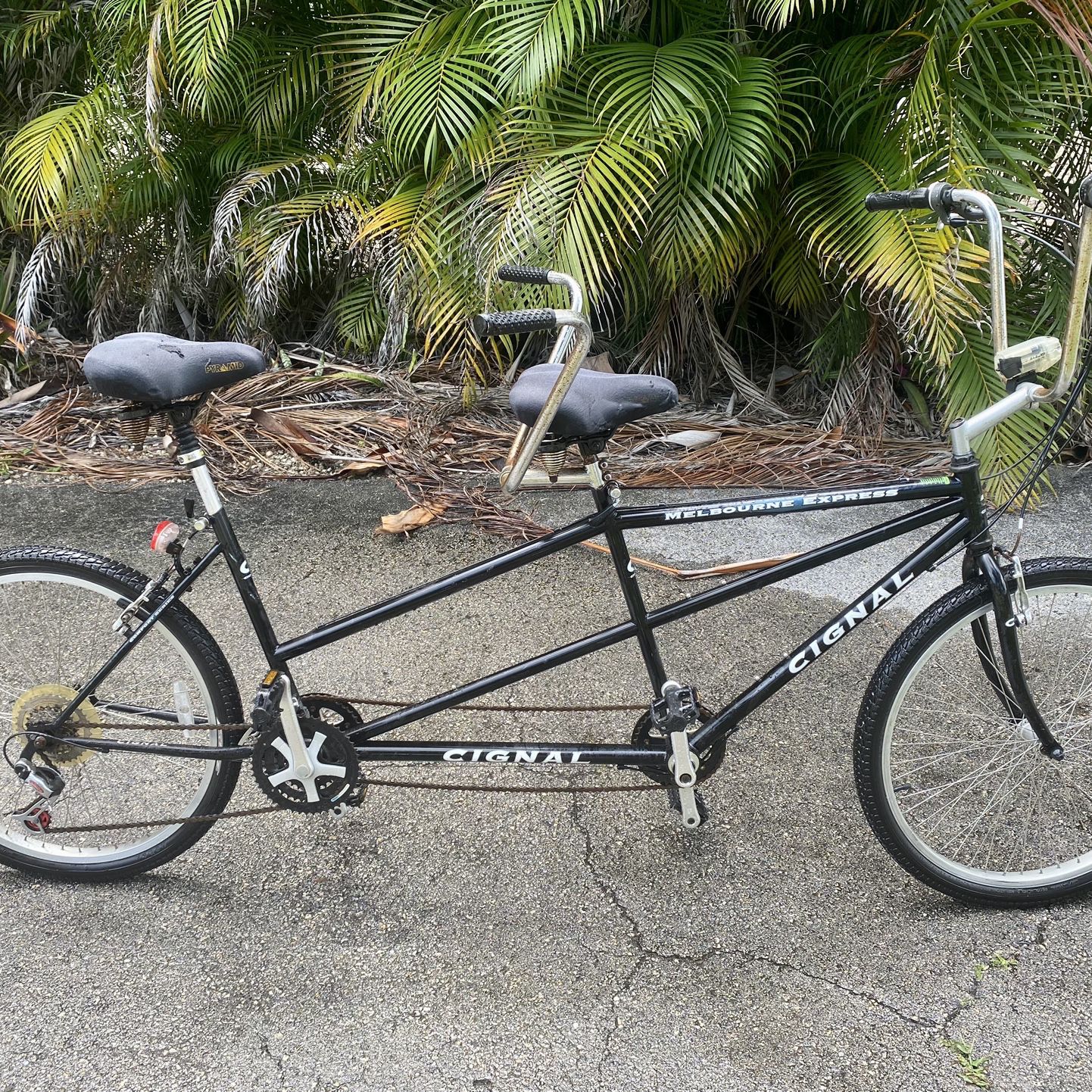 Duel Bicycle (Cignal Melbourne Express Bike)