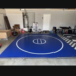 Wrestling/Jiujitsu mats
