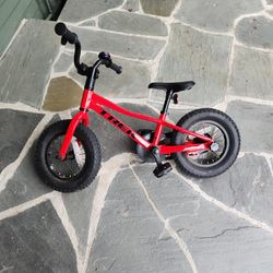 Trek 12 in Toddler Bike 