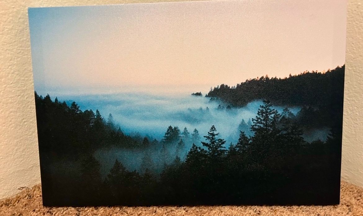 Trees in the Fog Canvas Picture