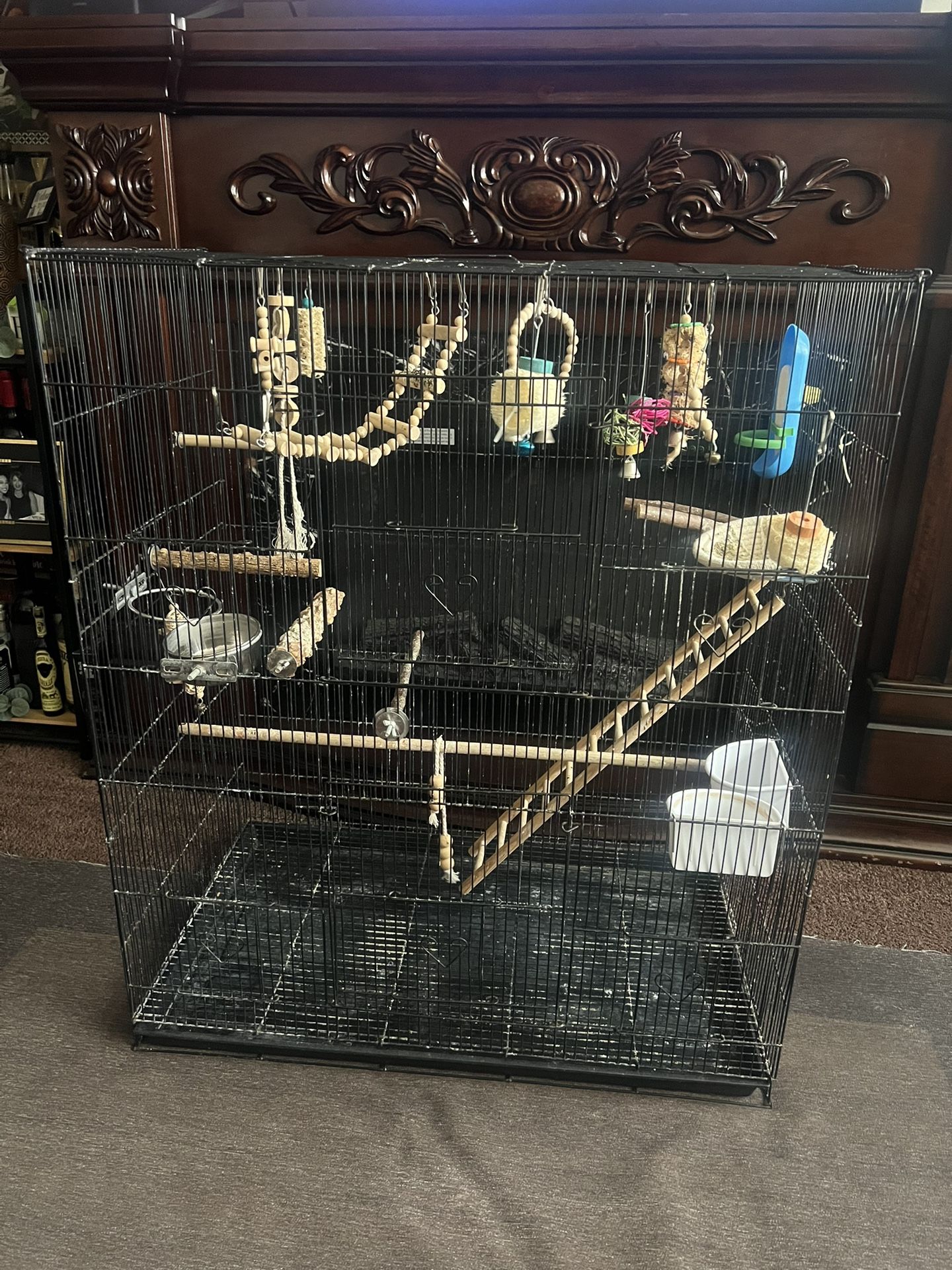 Bird Cage