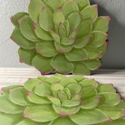 CASPARI Succulents Die-Cut Placemats Set 10 