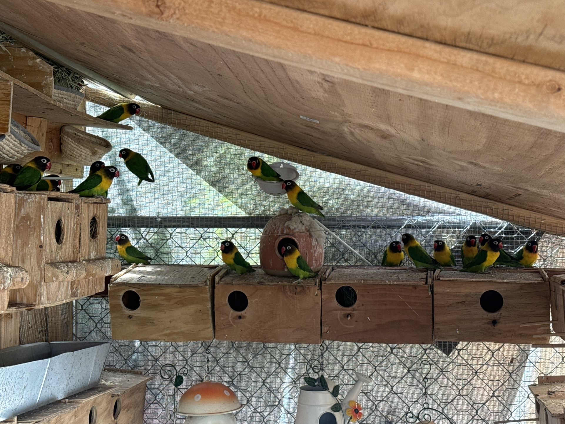 Nesting Box