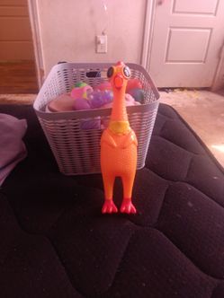 Screaming chicken