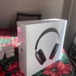 Apple Headset Gray 