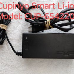 Cupinyo Smart Li-ion Charger 42v