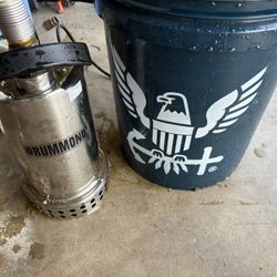 Drummond Stainless Steel Sump Pump